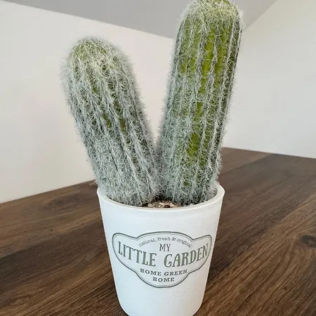 Le Mendo - Wi-fi, Tv, Parking, Moderne, Neuf *